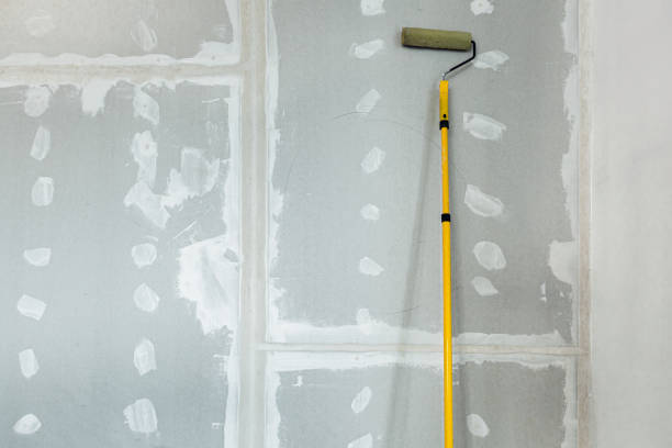 Best Commercial Mold Inspection  in Inglis, FL