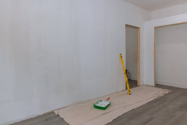 Professional Mold Removal in Inglis, FL
