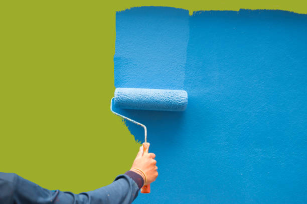 Best Mold Documentation for Insurance Claims  in Inglis, FL